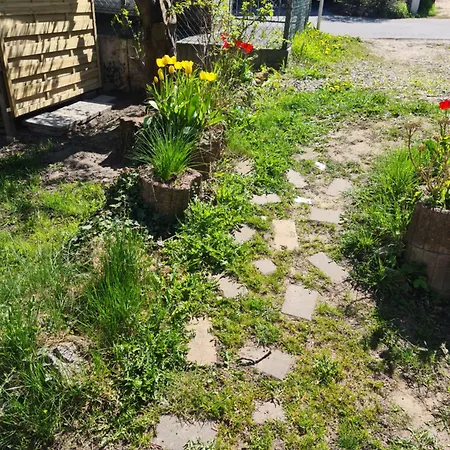 Ferienhaus Sonniges Sundchalet *